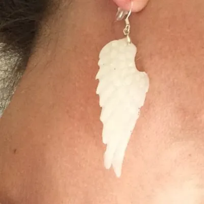 Various Angel Wing Drop Earrings