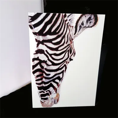 Blank Greetings Cards 4 Grevy front