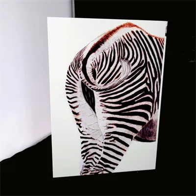 Blank Greetings Cards 4 Grevy back