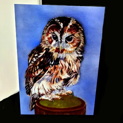 Blank Greetings Cards 5 The Wise One