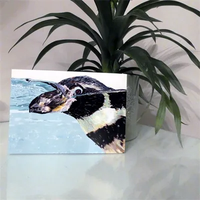 Blank Greetings Cards 6 Enjoying the Water