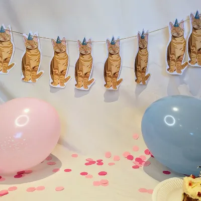 Cat Party Bunting/ Banner/ Kitten/ Ginge 3