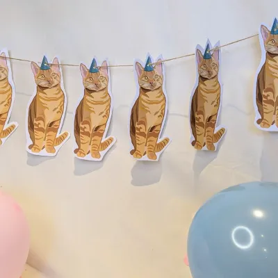 Cat Party Bunting/ Banner/ Kitten/ Ginge 4