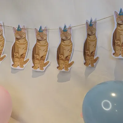 Cat Party Bunting/ Banner/ Kitten/ Ginge 5