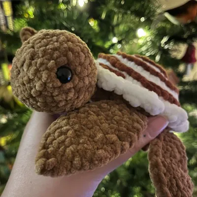 Crochet Cinnamon Roll/Strawberry Turtle  6
