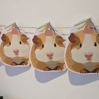 Guinea pig/ Hamster/ bunting/ party 1