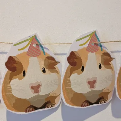 Guinea pig/ Hamster/ bunting/ party 2