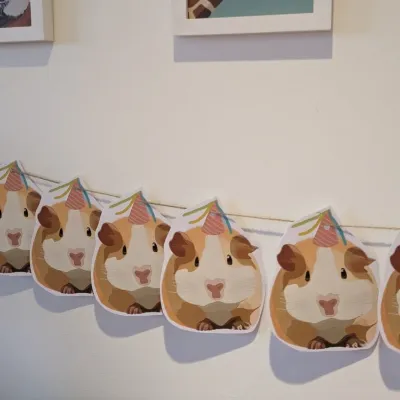 Guinea pig/ Hamster/ bunting/ party 4