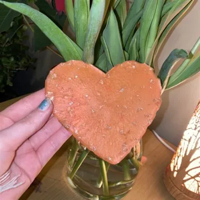 Handmade resin heart coasters