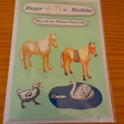 Happy 40th Birthday Horses hand made car 2