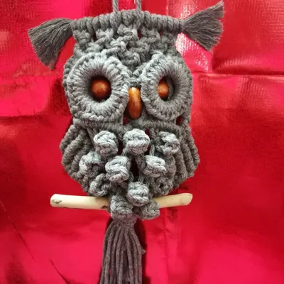 Macramé Owl Wall Hanging Cotton Cord. 10