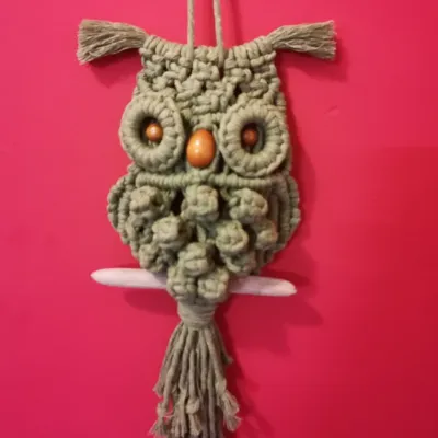 Macramé Owl Wall Hanging Cotton Cord Sta 2
