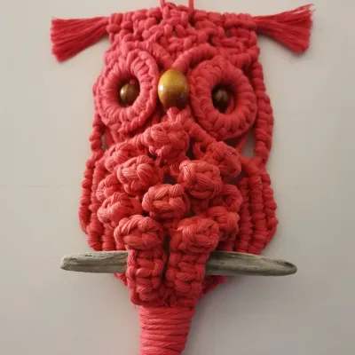 Macramé Owl Wall Hanging Cotton Cord Sta 4