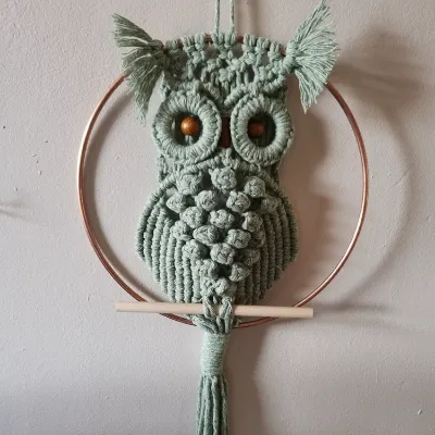 Macrame Owl dream catcher, dream catcher 1