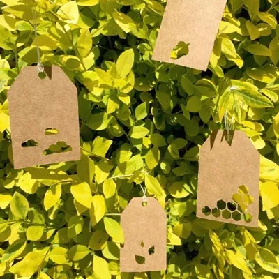 Nature Themed Mini Gift Tags 12 Tag Set