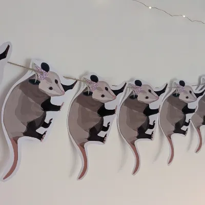 Party Possum card bunting/ decor/ funny 1