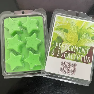 Peppermint & Eucalyptus wax melt 1