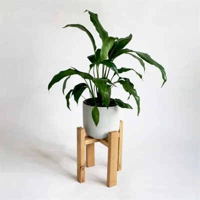 Reversible Chunky Oak Plant Stand