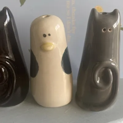 Seagull Light Pull 6
