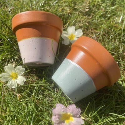Set Of Two 8cm Terracotta Plant Pots by Willow & evergreen 