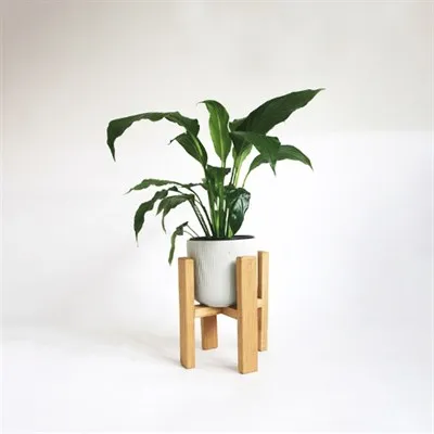 Standard Chunky Oak Plant Stand