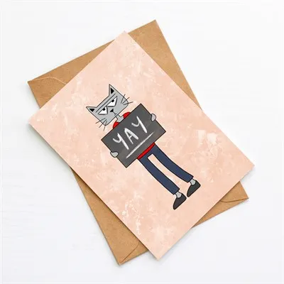 Supermeeps Greetings Card Bundle - Asshole Cat