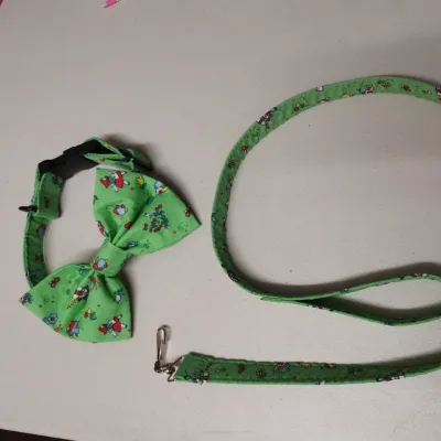This Handmade set of Matching dog collar 3