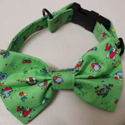 This Handmade set of Matching dog collar 4