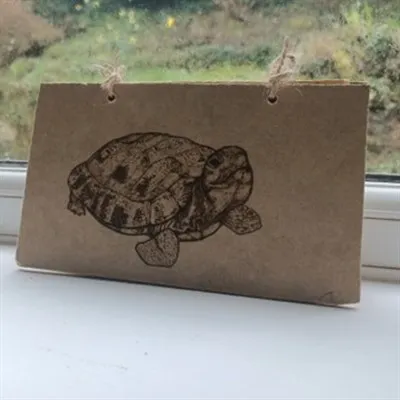 Wooden Tortoise Notebook