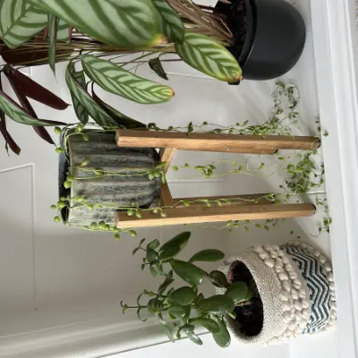 Tall Slim Plant Stand