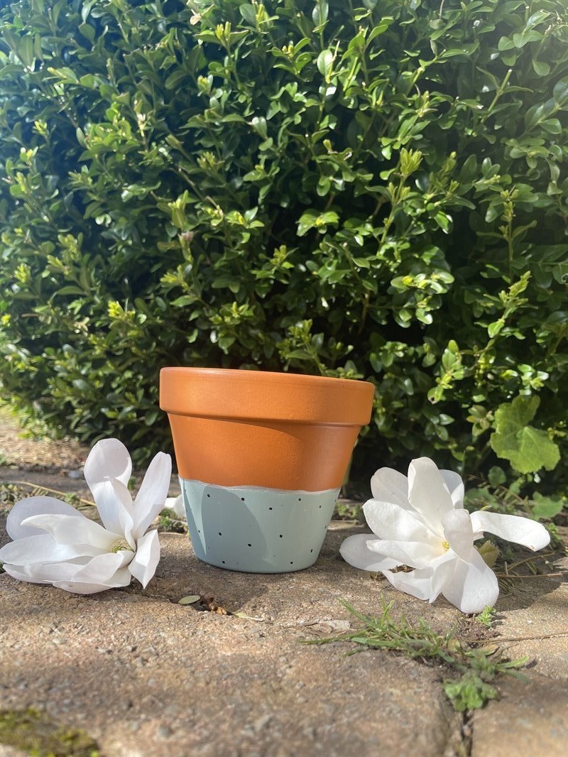 Sage green polka dot 11cm terracotta plant pot by Mossy monstera