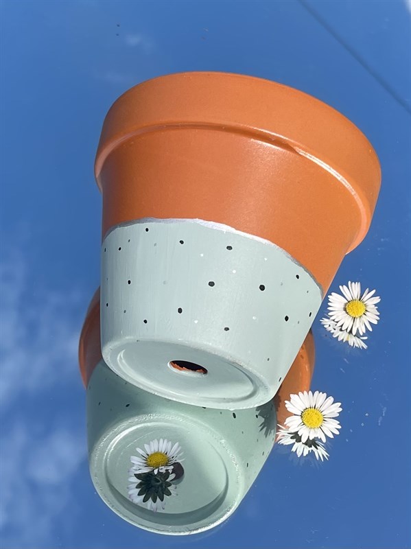 Sage green polka dot 11cm terracotta plant pot by Mossy monstera