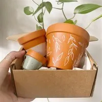 £25 Plant Pot Mystery Box gallery shot 1