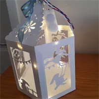 3D Rabbit warm light lantern, great gift 6