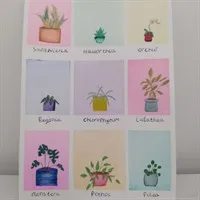 A5 Houseplant watercolour painting