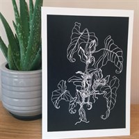 Araceae Print | The Amazon