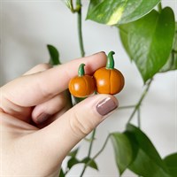 Autumn Pumpkin Plant Friends