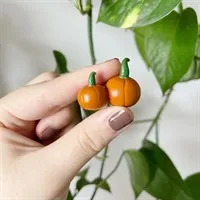 Autumn Pumpkin Plant Friends