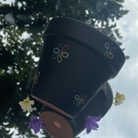 Black Flower Rainbow Pride 11cm Planter