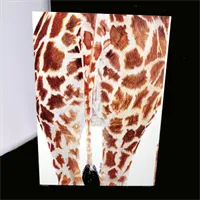 Blank Greetings Cards 3 Gerry back