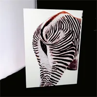 Blank Greetings Cards 4 Grevy back