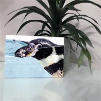 Blank Greetings Cards 6 Enjoying the Water