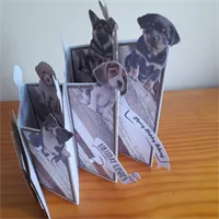 Cascade folded Awesome Husband Dogs Birt 6