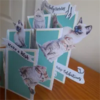 Cascade folded Cats or Dogs Birthday car 4