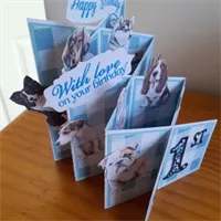 Cascade folded Cats or Dogs Birthday car 8