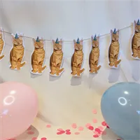 Cat Party Bunting/ Banner/ Kitten/ Ginge