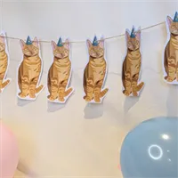 Cat Party Bunting/ Banner/ Kitten/ Ginge 4