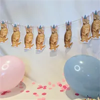 Cat Party Bunting/ Banner/ Kitten/ Ginge 6