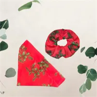 Christmas Pet Accessories