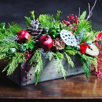 Christmas Troughs!